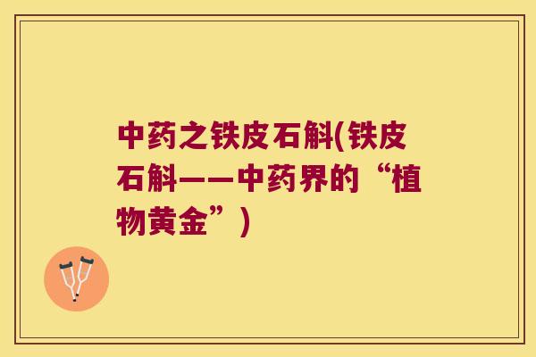 中药之铁皮石斛(铁皮石斛——中药界的“植物黄金”)
