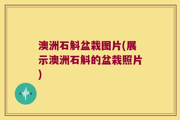 澳洲石斛盆栽图片(展示澳洲石斛的盆栽照片)