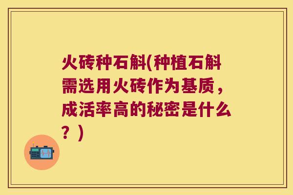 火砖种石斛(种植石斛需选用火砖作为基质，成活率高的秘密是什么？)