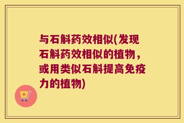 与石斛相似(发现石斛相似的植物,或用类似石斛提高力的植物) 与石斛相似(发现石斛相似的植物,或用类似石斛提高力的植物)