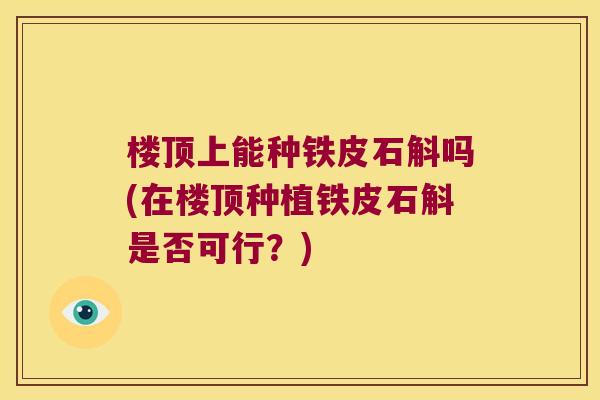楼顶上能种铁皮石斛吗(在楼顶种植铁皮石斛是否可行？)