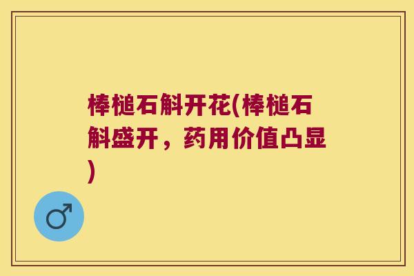 棒槌石斛开花(棒槌石斛盛开,药用价值凸显) 棒槌石斛开花(棒槌石斛盛开,药用价值凸显)