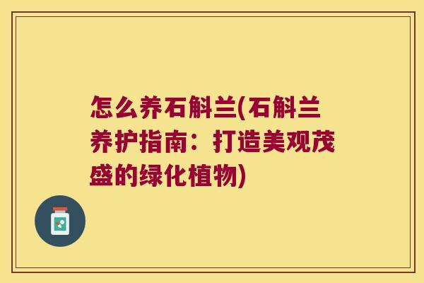 怎么养石斛兰(石斛兰养护指南：打造美观茂盛的绿化植物)