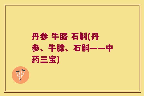 丹参 牛膝 石斛(丹参、牛膝、石斛——三宝) 丹参 牛膝 石斛(丹参、牛膝、石斛——三宝)