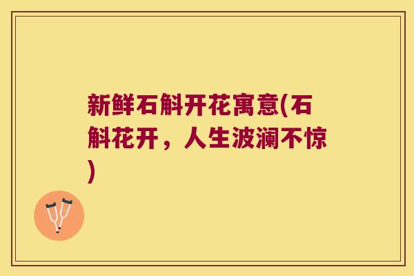 新鲜石斛开花寓意(石斛花开，人生波澜不惊)