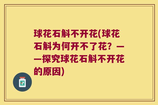 球花石斛不开花(球花石斛为何开不了花？——探究球花石斛不开花的原因)