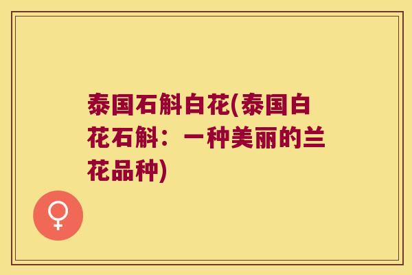 泰国石斛白花(泰国白花石斛：一种美丽的兰花品种)