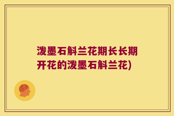 泼墨石斛兰花期长长期开花的泼墨石斛兰花)