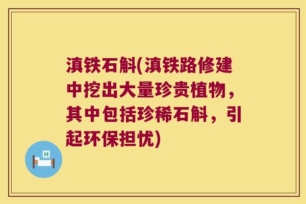 滇铁石斛(滇铁路修建中挖出大量珍贵植物，其中包括珍稀石斛，引起环保担忧)