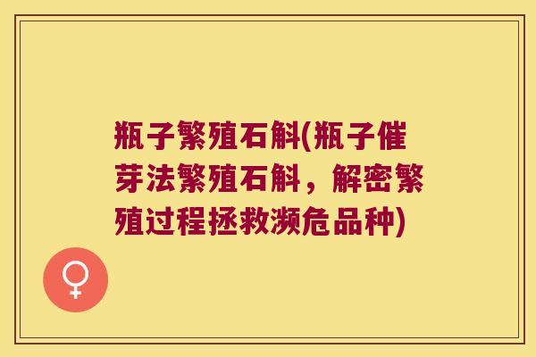 瓶子繁殖石斛(瓶子催芽法繁殖石斛，解密繁殖过程拯救濒危品种)