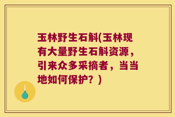 玉林野生石斛(玉林现有大量野生石斛资源，引来众多采摘者，当当地如何保护？)