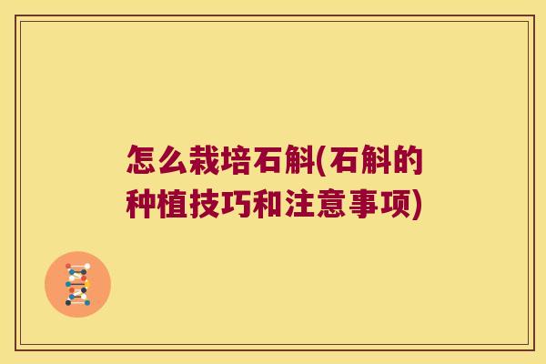 怎么栽培石斛(石斛的种植技巧和注意事项)