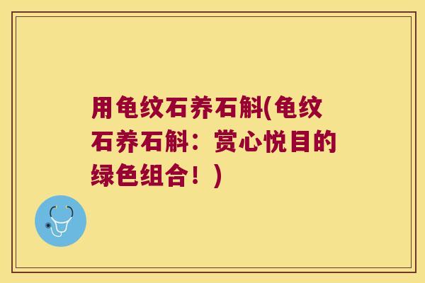用龟纹石养石斛(龟纹石养石斛：赏心悦目的绿色组合！)