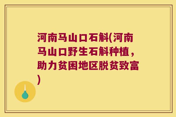 河南马山口石斛(河南马山口野生石斛种植，助力贫困地区脱贫致富)