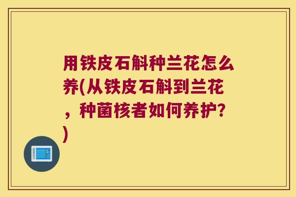 用铁皮石斛种兰花怎么养(从铁皮石斛到兰花，种菌核者如何养护？)