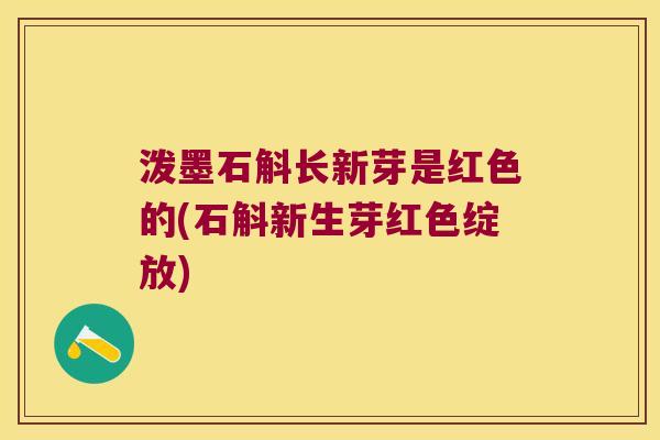 泼墨石斛长新芽是红色的(石斛新生芽红色绽放)