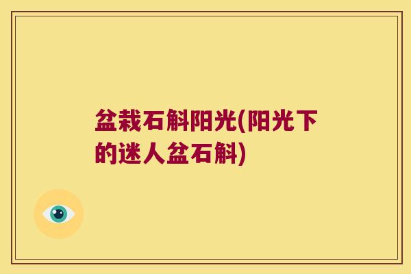 盆栽石斛阳光(阳光下的迷人盆石斛)
