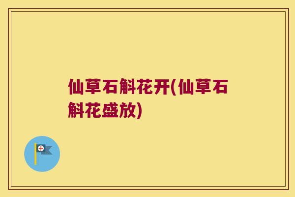 仙草石斛花开(仙草石斛花盛放)