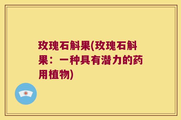 玫瑰石斛果(玫瑰石斛果：一种具有潜力的药用植物)