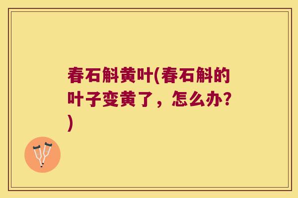 春石斛黄叶(春石斛的叶子变黄了，怎么办？)
