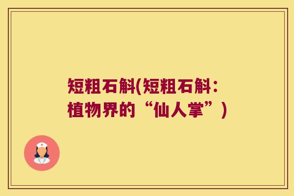 短粗石斛(短粗石斛：植物界的“仙人掌”)
