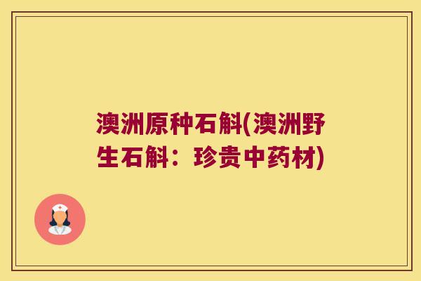 澳洲原种石斛(澳洲野生石斛：珍贵材)