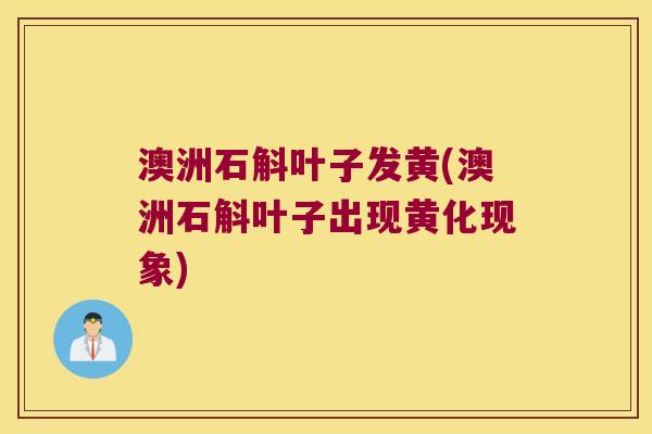 澳洲石斛叶子发黄(澳洲石斛叶子出现黄化现象)