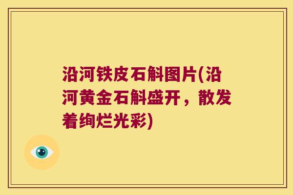 沿河铁皮石斛图片(沿河黄金石斛盛开，散发着绚烂光彩)