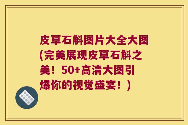 皮草石斛图片大全大图(完美展现皮草石斛之美！50+高清大图引爆你的视觉盛宴！)