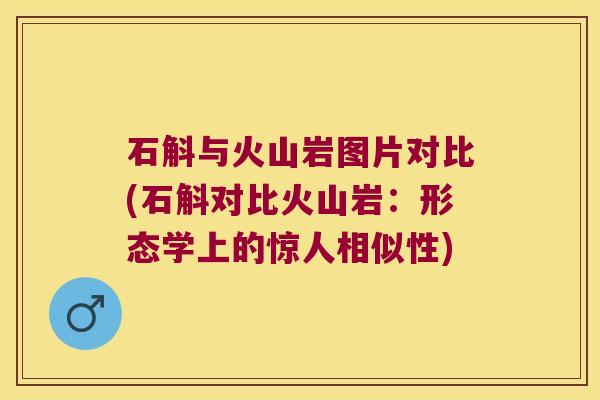 石斛与火山岩图片对比(石斛对比火山岩：形态学上的惊人相似性)