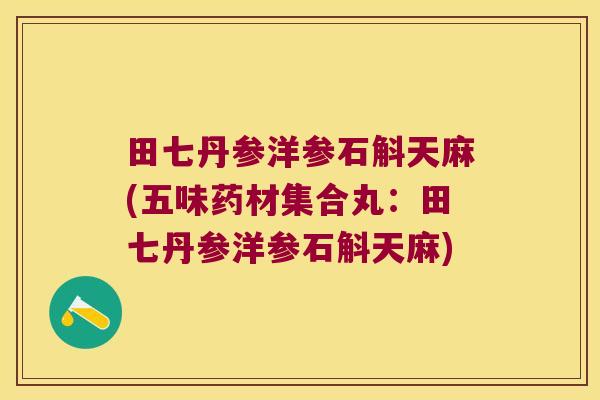 田七丹参洋参石斛天麻(五味药材集合丸：田七丹参洋参石斛天麻)