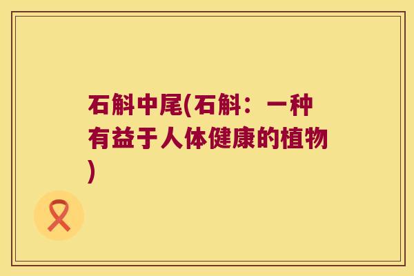 石斛中尾(石斛：一种有益于人体健康的植物)