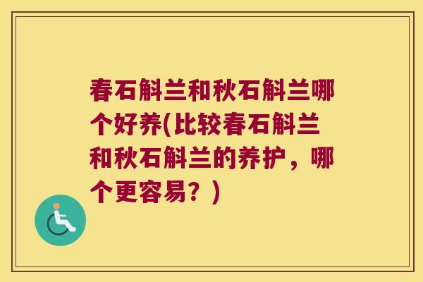春石斛兰和秋石斛兰哪个好养(比较春石斛兰和秋石斛兰的养护，哪个更容易？)