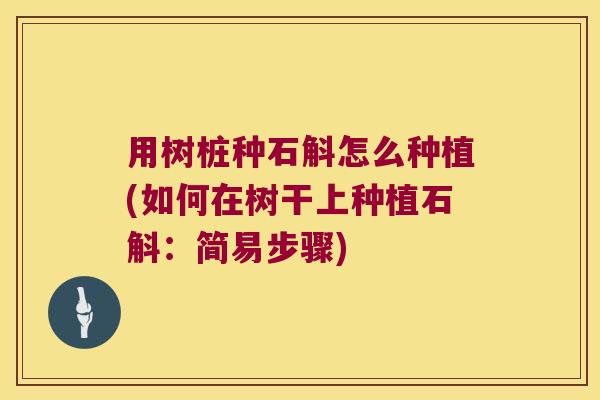 用树桩种石斛怎么种植(如何在树干上种植石斛：简易步骤)
