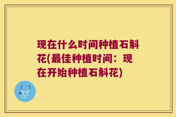 现在什么时间种植石斛花(最佳种植时间：现在开始种植石斛花)