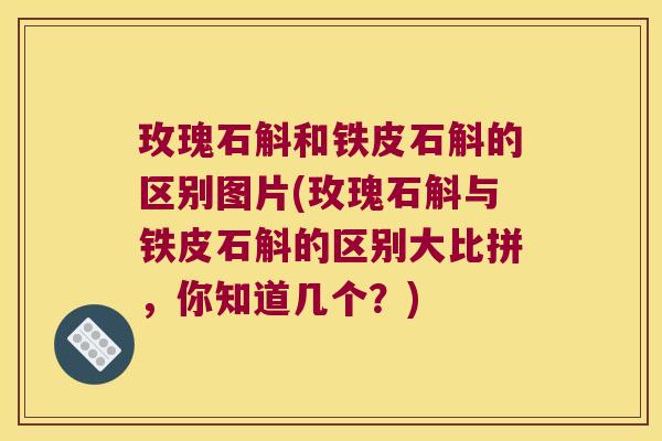 玫瑰石斛和铁皮石斛的区别图片(玫瑰石斛与铁皮石斛的区别大比拼，你知道几个？)