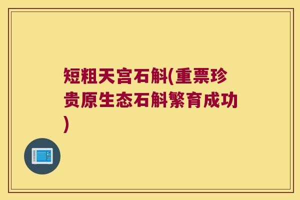 短粗天宫石斛(重票珍贵原生态石斛繁育成功)