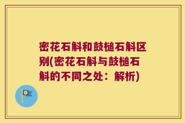 密花石斛和鼓槌石斛区别(密花石斛与鼓槌石斛的不同之处：解析)