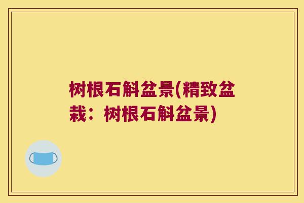 树根石斛盆景(精致盆栽：树根石斛盆景)