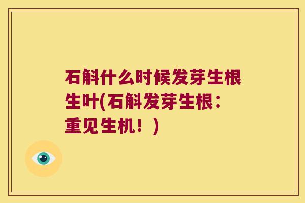 石斛什么时候发芽生根生叶(石斛发芽生根：重见生机！)