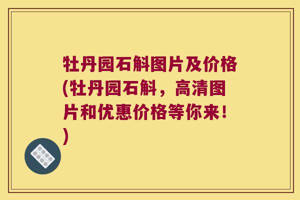牡丹园石斛图片及价格(牡丹园石斛，高清图片和优惠价格等你来！)