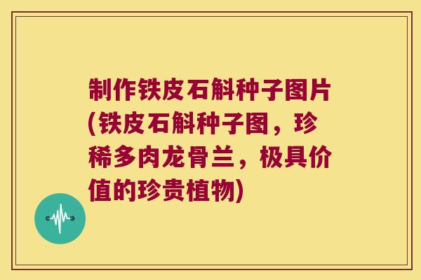 制作铁皮石斛种子图片(铁皮石斛种子图，珍稀多肉龙骨兰，极具价值的珍贵植物)