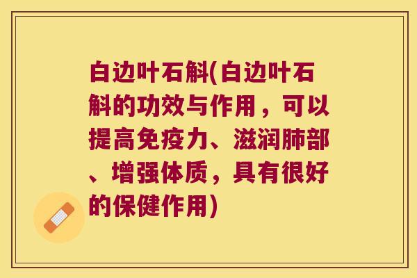 白边叶石斛(白边叶石斛的功效与作用，可以提高免疫力、滋润肺部、增强体质，具有很好的保健作用)