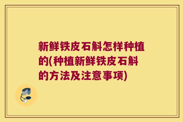 新鲜铁皮石斛怎样种植的(种植新鲜铁皮石斛的方法及注意事项)