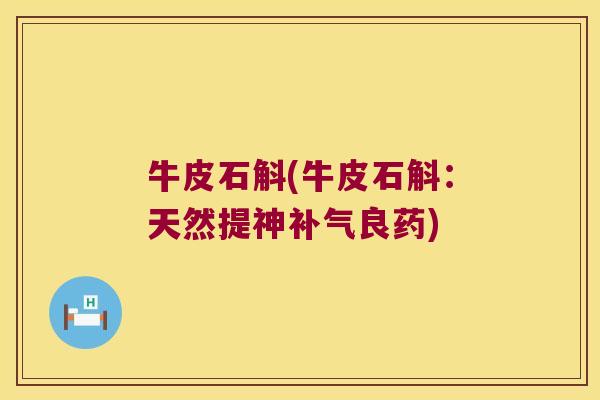 牛皮石斛(牛皮石斛：天然提神补气良药)
