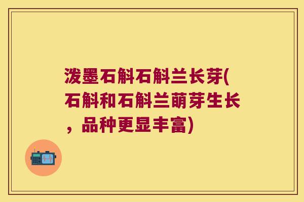 泼墨石斛石斛兰长芽(石斛和石斛兰萌芽生长，品种更显丰富)