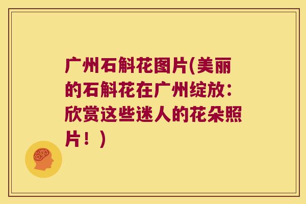 广州石斛花图片(美丽的石斛花在广州绽放：欣赏这些迷人的花朵照片！)