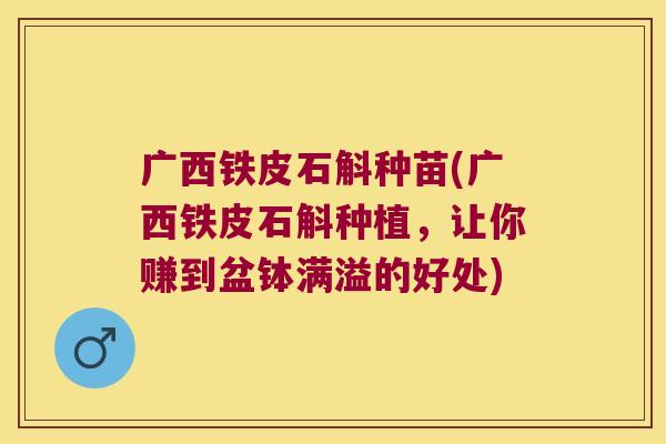广西铁皮石斛种苗(广西铁皮石斛种植，让你赚到盆钵满溢的好处)