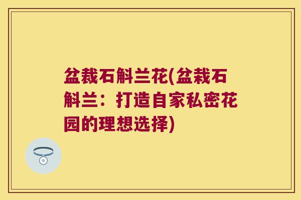 盆裁石斛兰花(盆栽石斛兰：打造自家私密花园的理想选择)