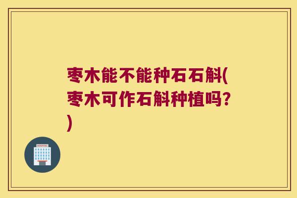枣木能不能种石石斛(枣木可作石斛种植吗？)
